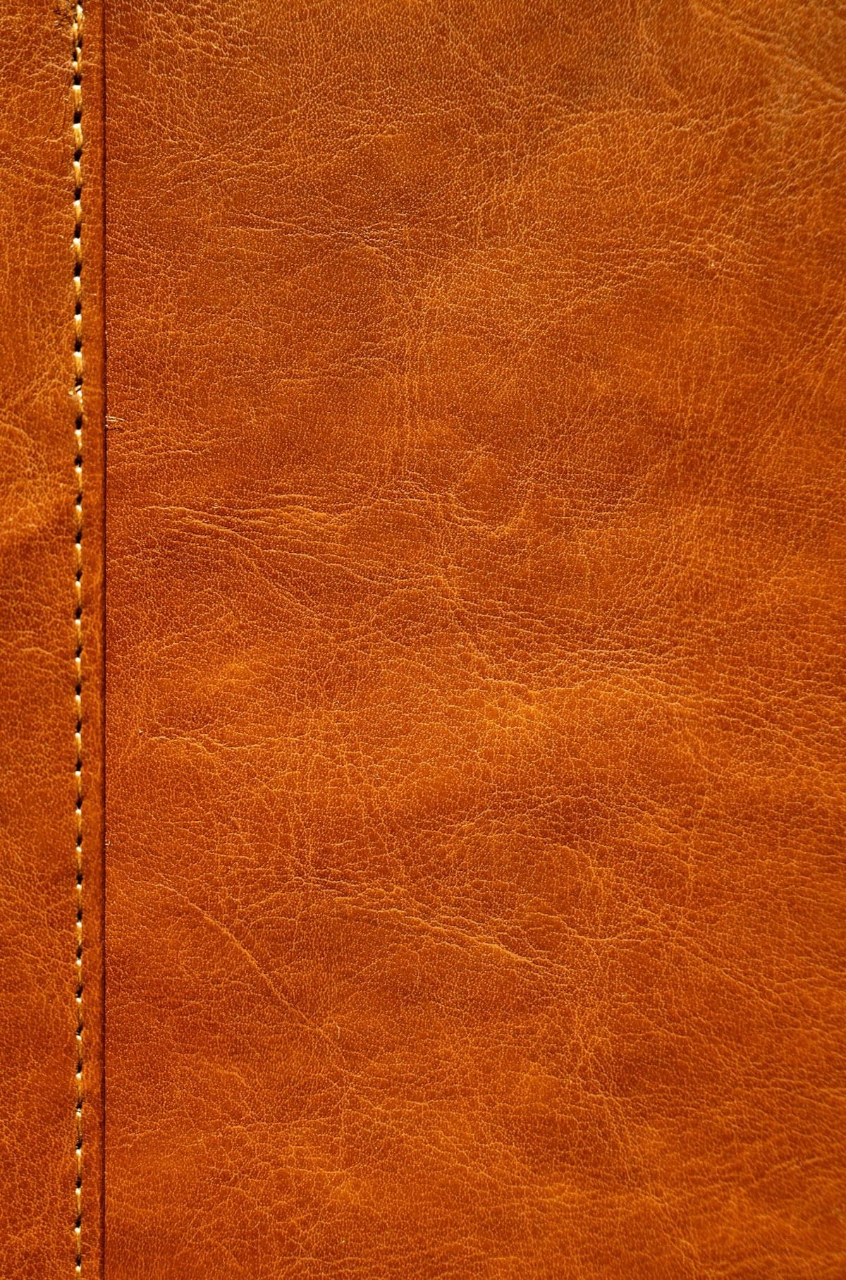 Full-Grain Polished Cowhide