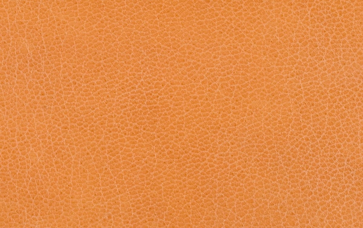 Horse Leather